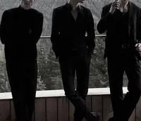 Three hybrid wolves 