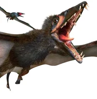 Eudimorphodon