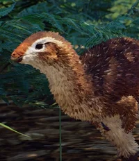 Leaellynasaura