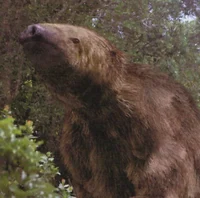 Megatherium