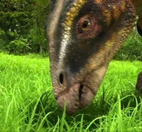 Rhabdodon