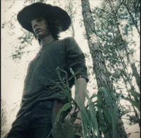CARL GRIMES