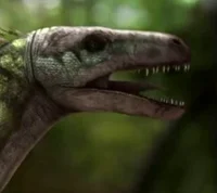Dromaeosaurus