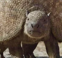 Doedicurus