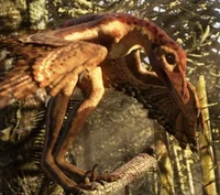 Sinornithosaurus