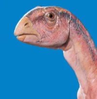 Fabrosaurus