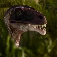 Ornitholestes