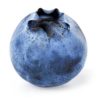 Pregnant Blueberry 