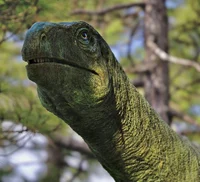 Massospondylus
