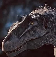 Allosaurus europaeus