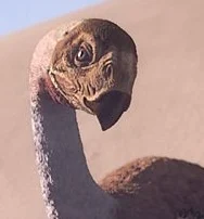 Gigantoraptor