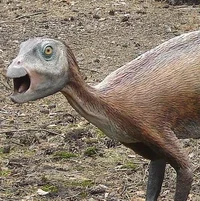 Atlascopcosaurus