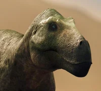 Torvosaurus gurneyi
