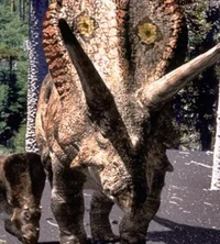 Torosaurus