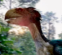 Gastornis