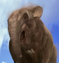 Deinotherium