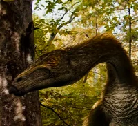 Nothronychus