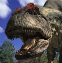 Allosaurus