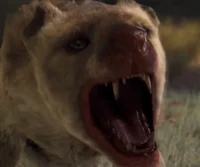 Hyaenodon