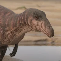 Masiakasaurus