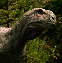 Aucasaurus