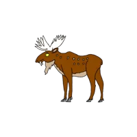AU-Brown Moose WP