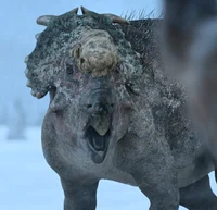 Pachyrhinosaurus