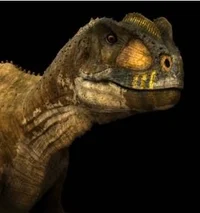 Rugops