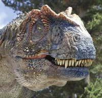 Yangchuanosaurus