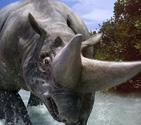 Arsinoitherium