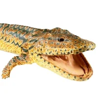 Acanthostega