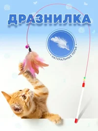 Дразнилка 