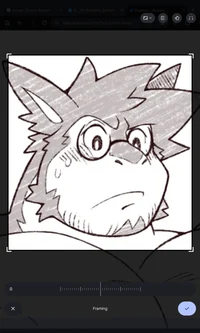 Typhlosion - MLM