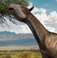 Urtinotherium