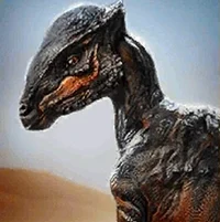 Stegoceras