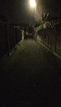 Late Night Walk