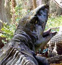 Proterogyrinus