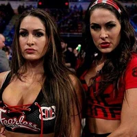 The Bella Twins 