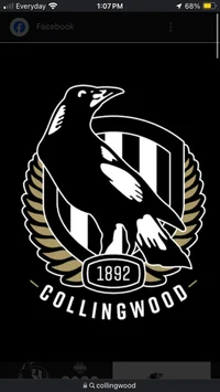 Kings Of Collingwood