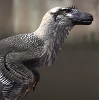 Dakotaraptor
