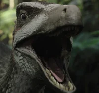 Austroraptor
