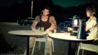 Gladiolus Amicitia 