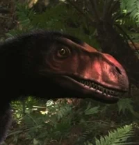 Dilong paradoxus