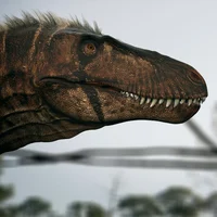 Nanotyrannus