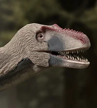 Alioramus