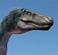 Moros intrepidus