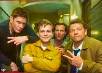 Team Free Will