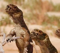 Diictodon