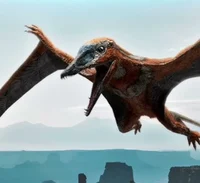 Preondactylus