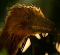 Marasuchus